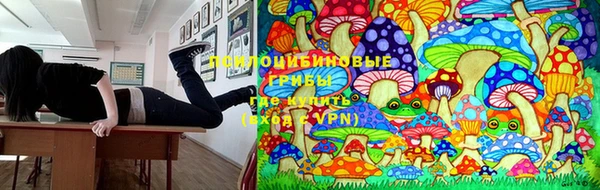 гидропоника Нягань