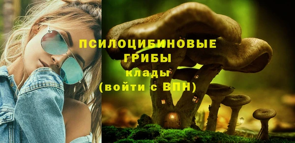 а пвп мука Новодвинск